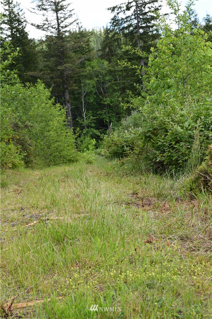 13556 Center Road Quilcene, WA 98376 - Photo 11 of 18 Gallery Image 11