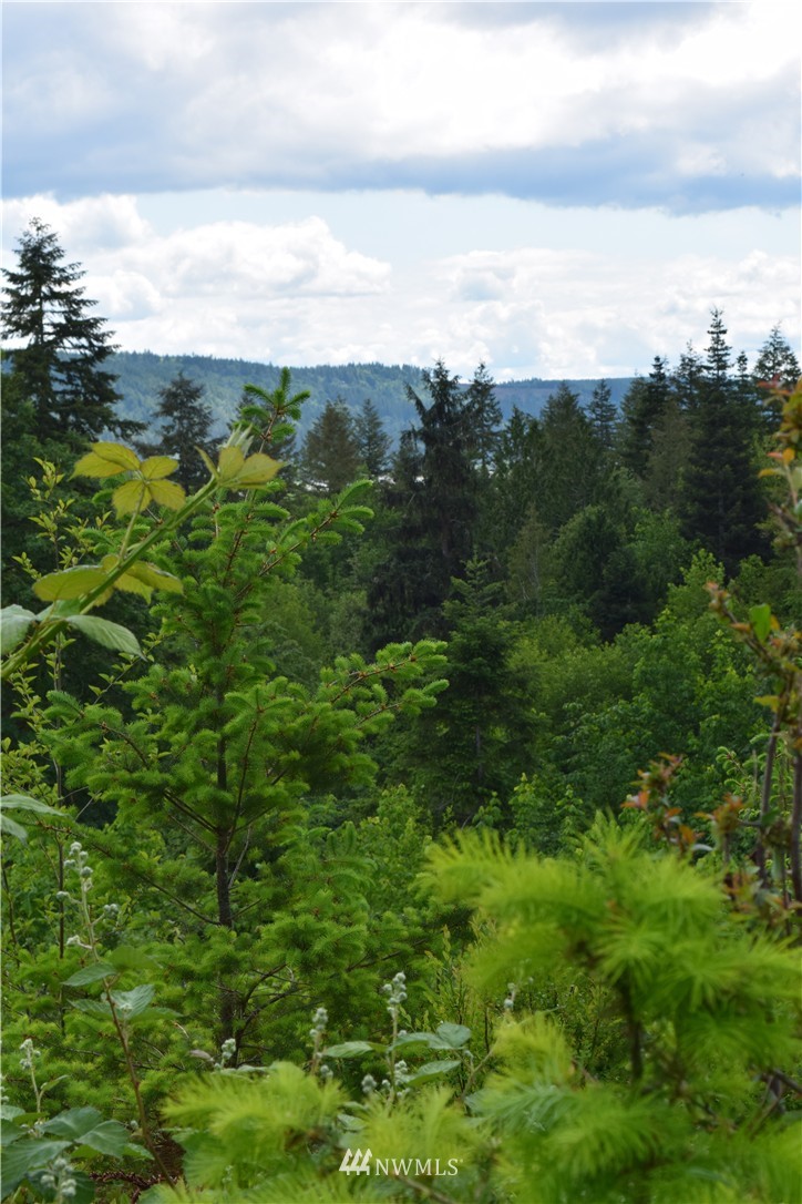 13556 Center Road Quilcene, WA 98376 - Photo 12 of 18 Gallery Image 12