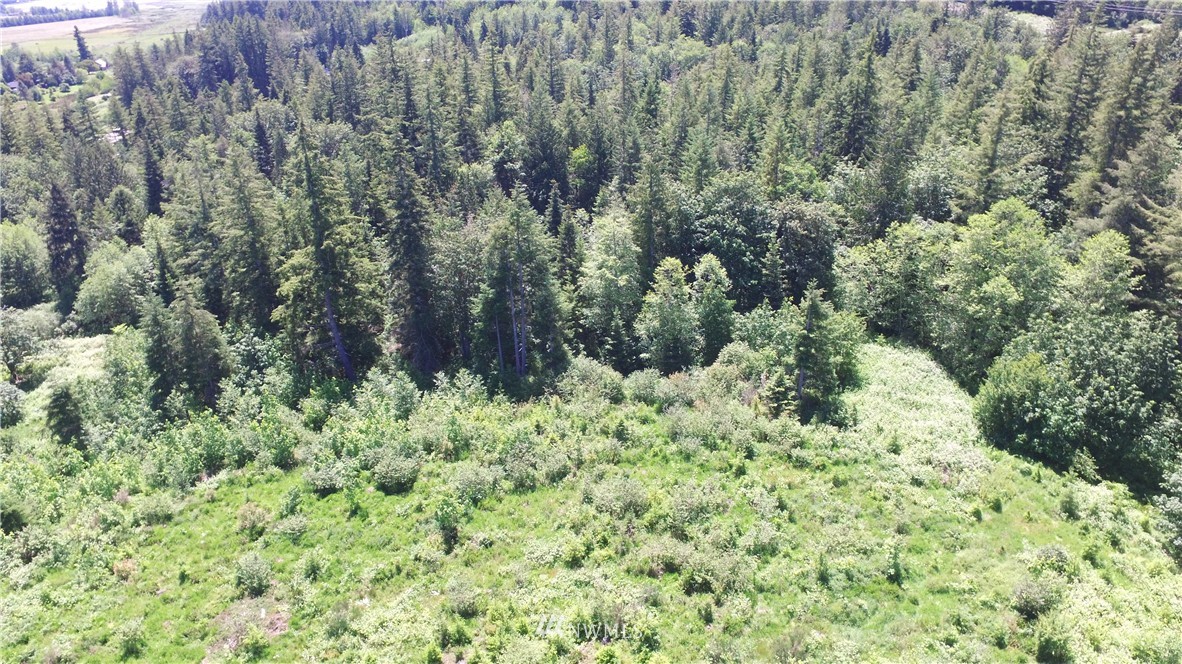 13556 Center Road Quilcene, WA 98376 - Photo 13 of 18 Gallery Image 13