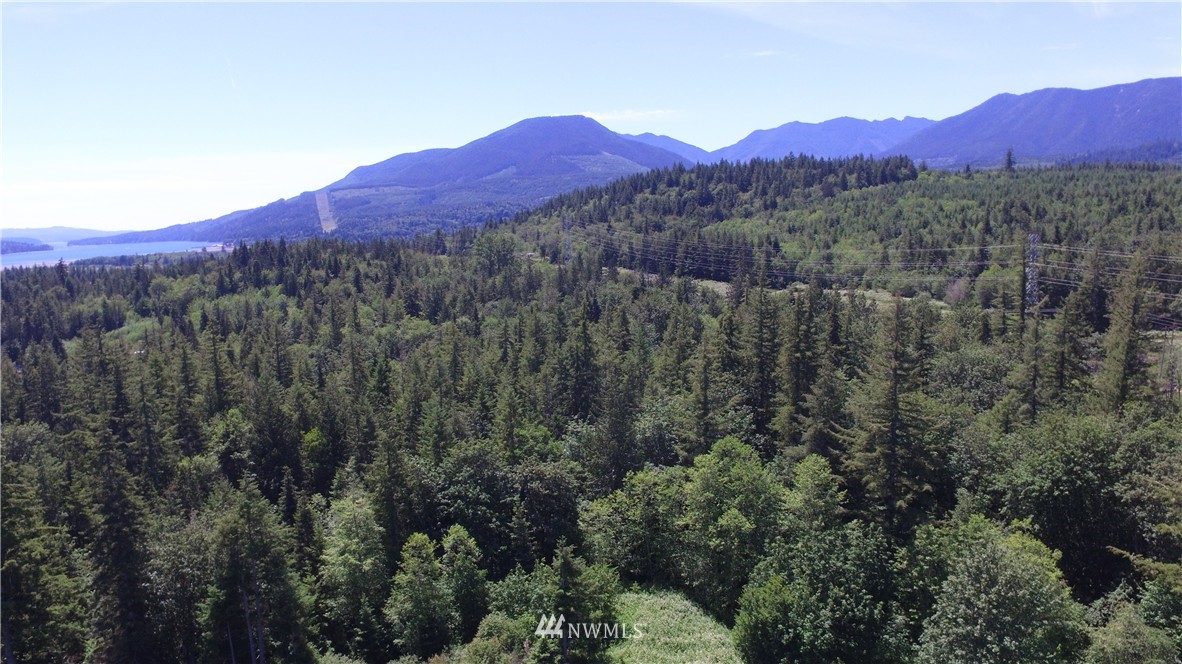 13556 Center Road Quilcene, WA 98376 - Photo 16 of 18 Gallery Image 16