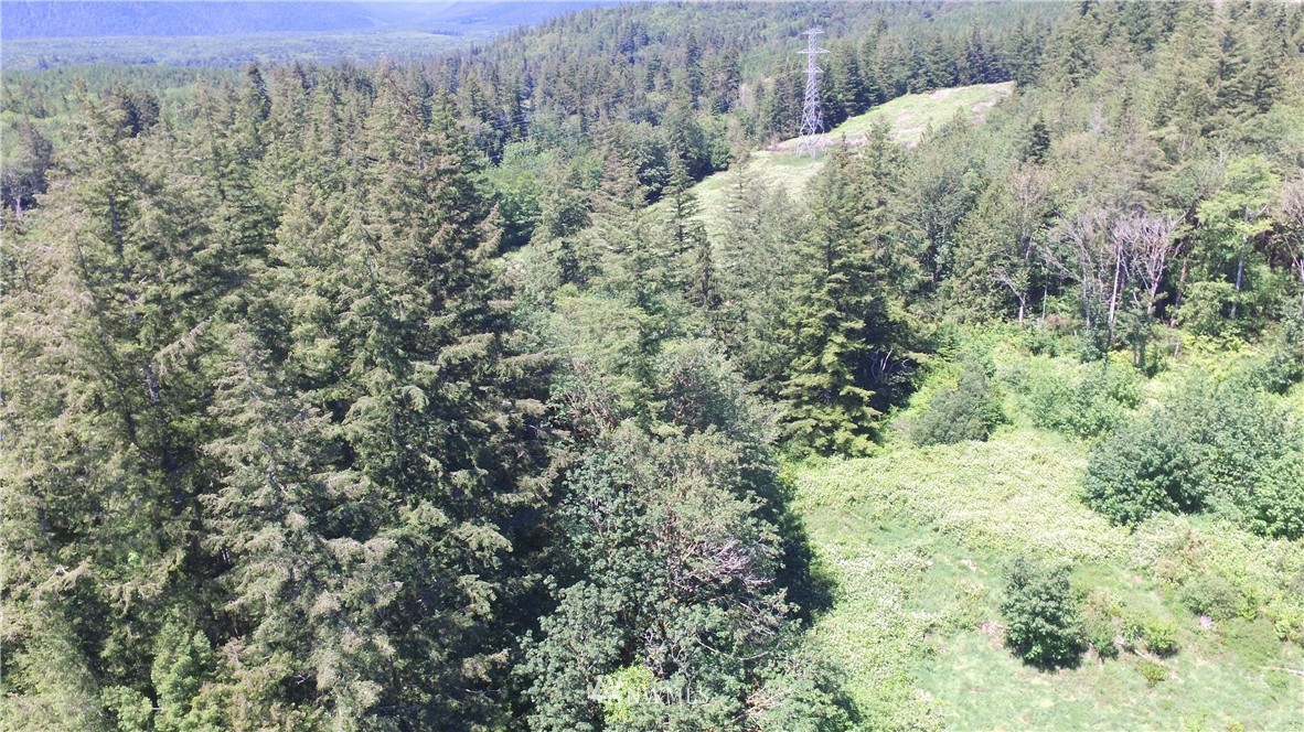 13556 Center Road Quilcene, WA 98376 - Photo 17 of 18 Gallery Image 17