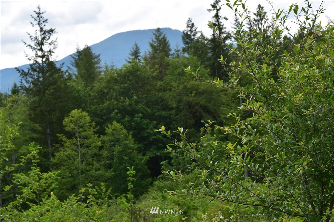 13556 Center Road Quilcene, WA 98376 - Photo 8 of 18 Gallery Image 8