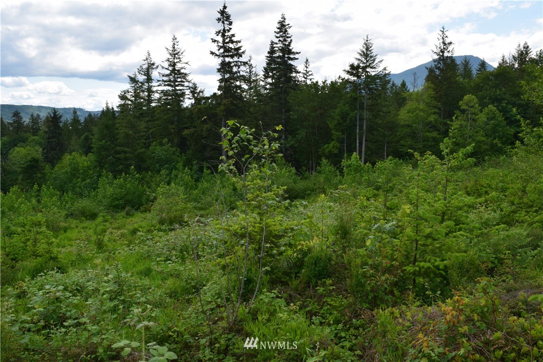 13556 Center Road Quilcene, WA 98376 - Photo 9 of 18 Gallery Image 9