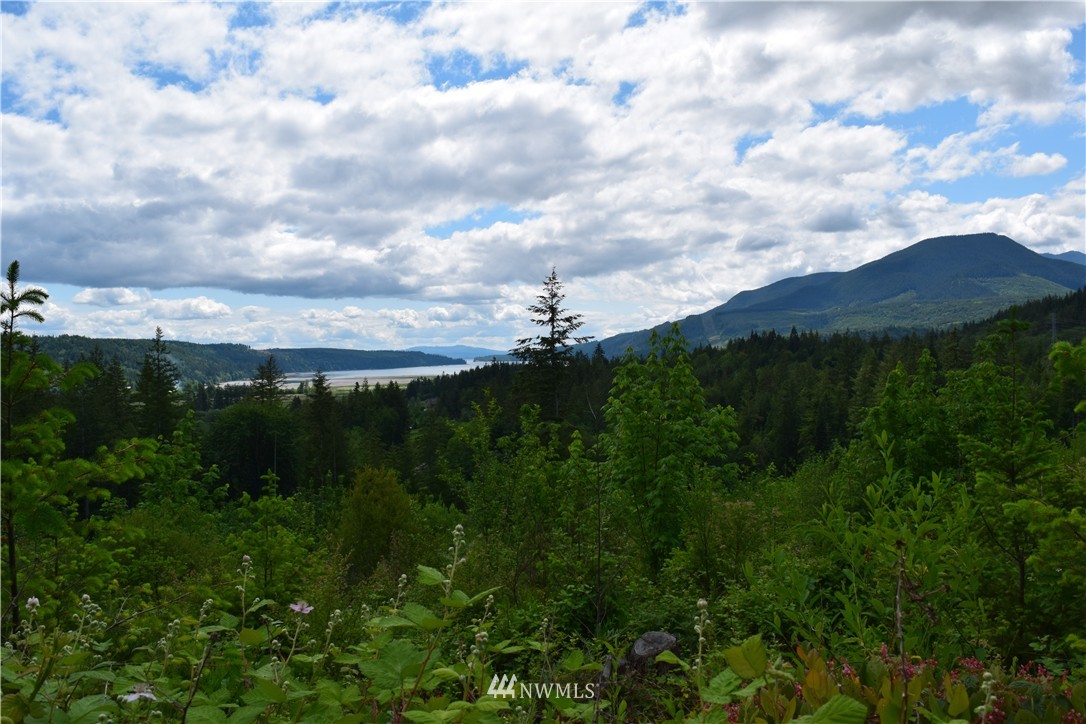 13556 Center Road Quilcene, WA 98376 - Photo 10 of 18 Gallery Image 10