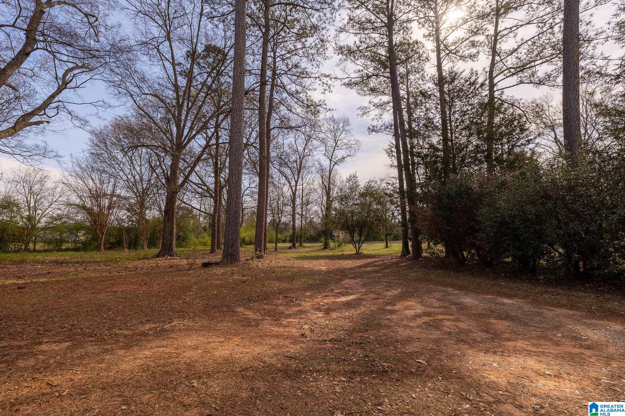 612 Chaffee Street Talladega, AL 35160 - Photo 43 of 46