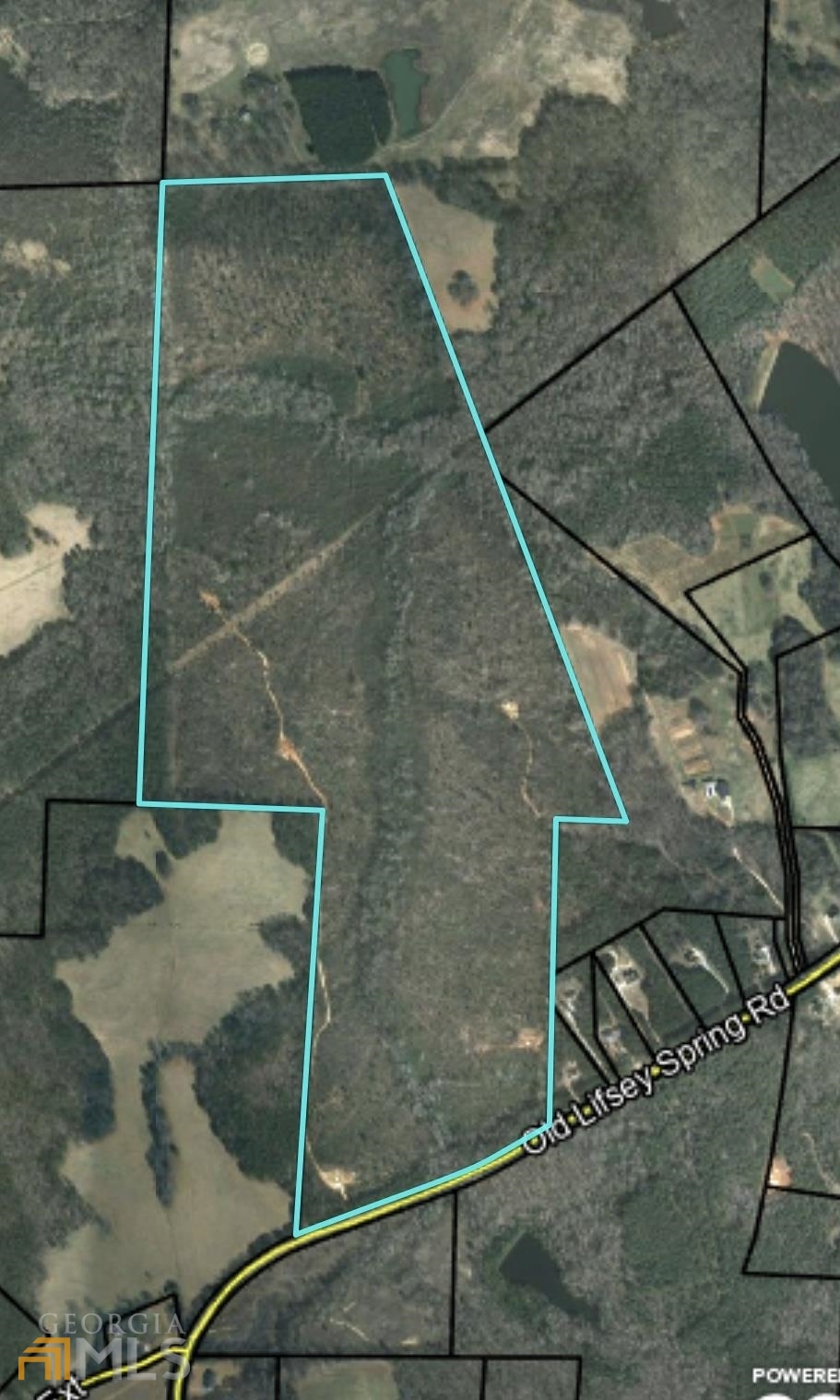 0 Old Lifsey Springs Road Molena, GA 30258 - Photo 1 of 4 a bird bath tub sitting next to a shower