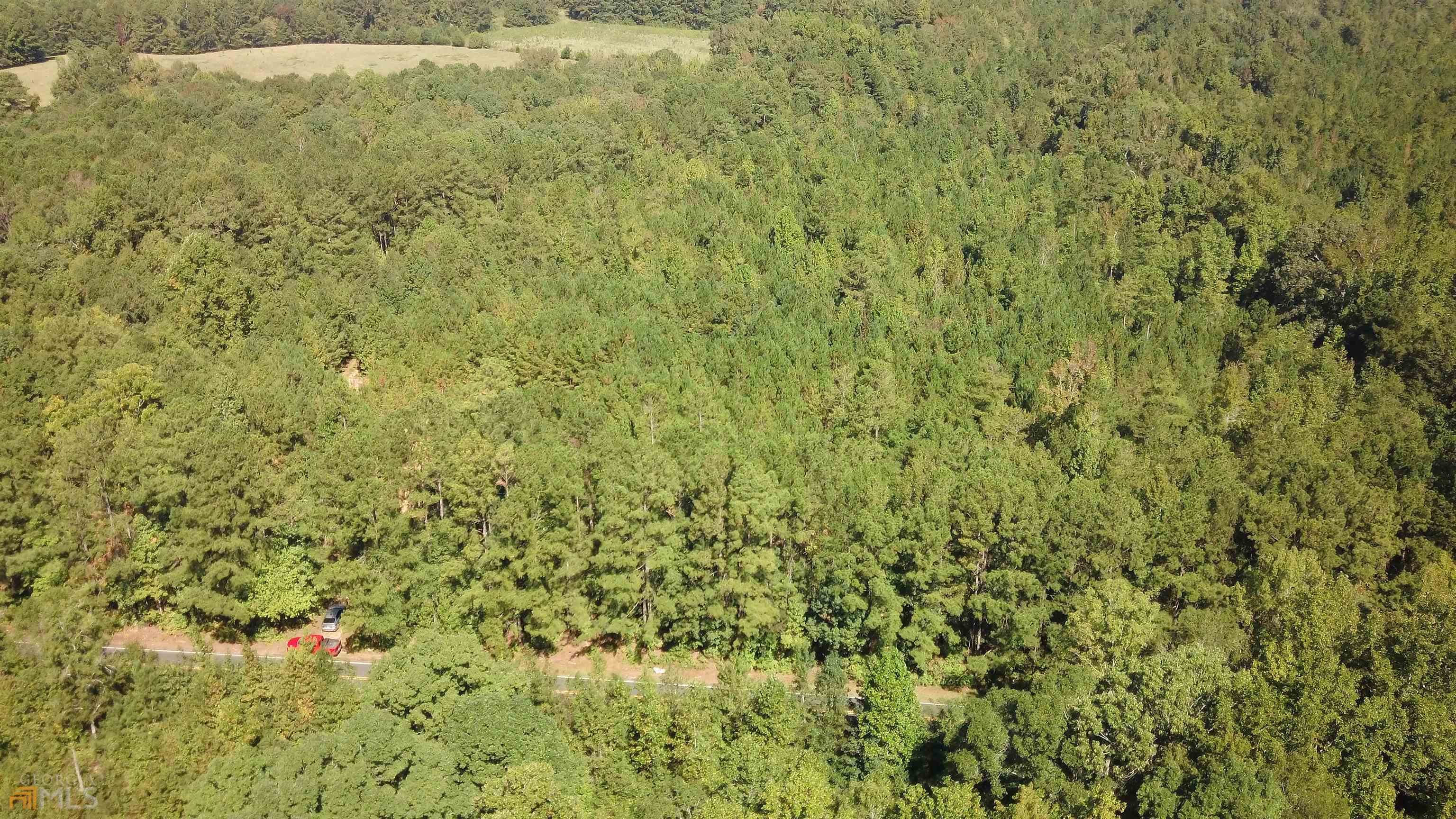 0 Old Lifsey Springs Road Molena, GA 30258 - Photo 3 of 4 a view of a yard