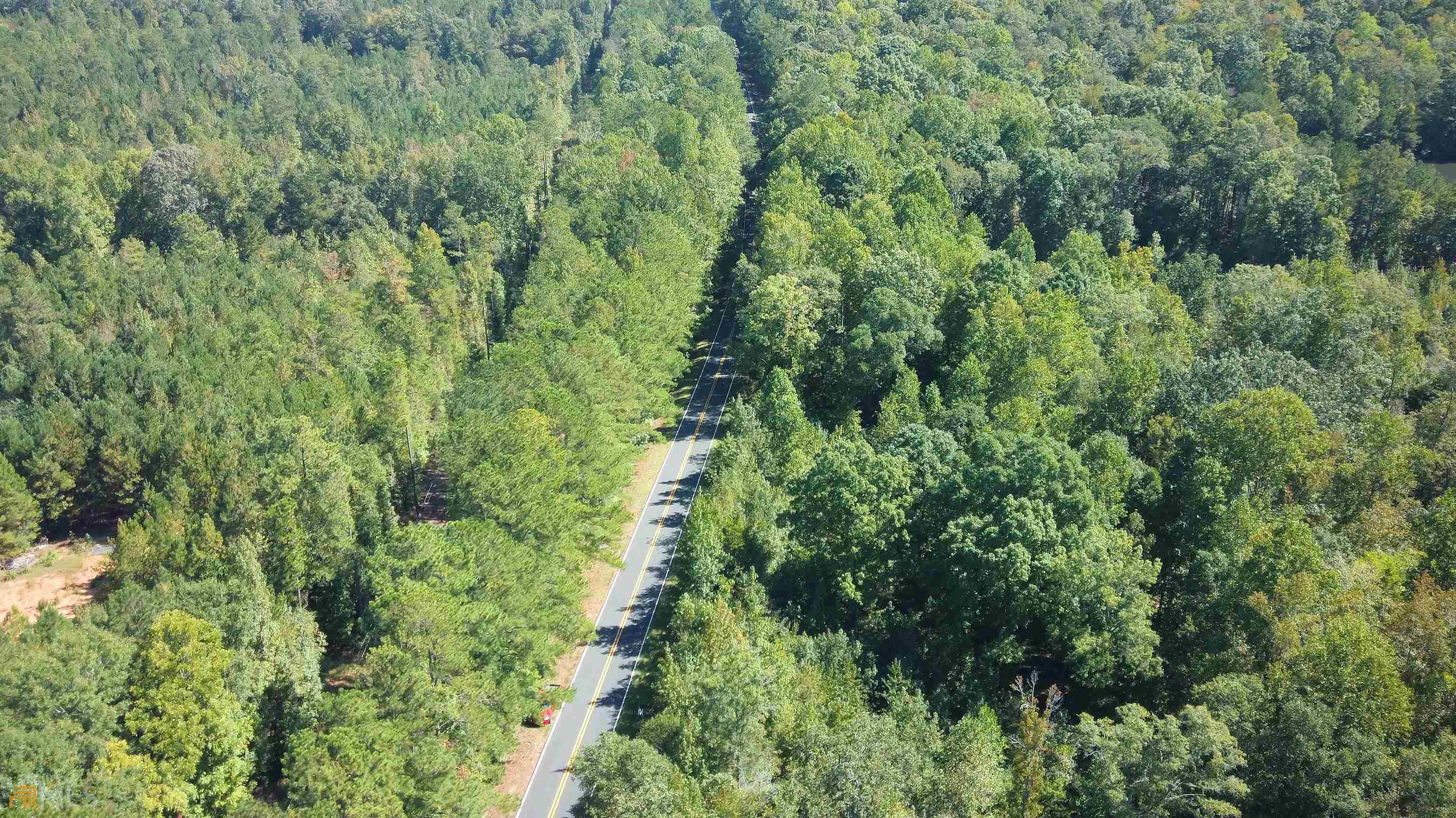 0 Old Lifsey Springs Road Molena, GA 30258 - Photo 4 of 4 a view of a lush green forest with trees and houses