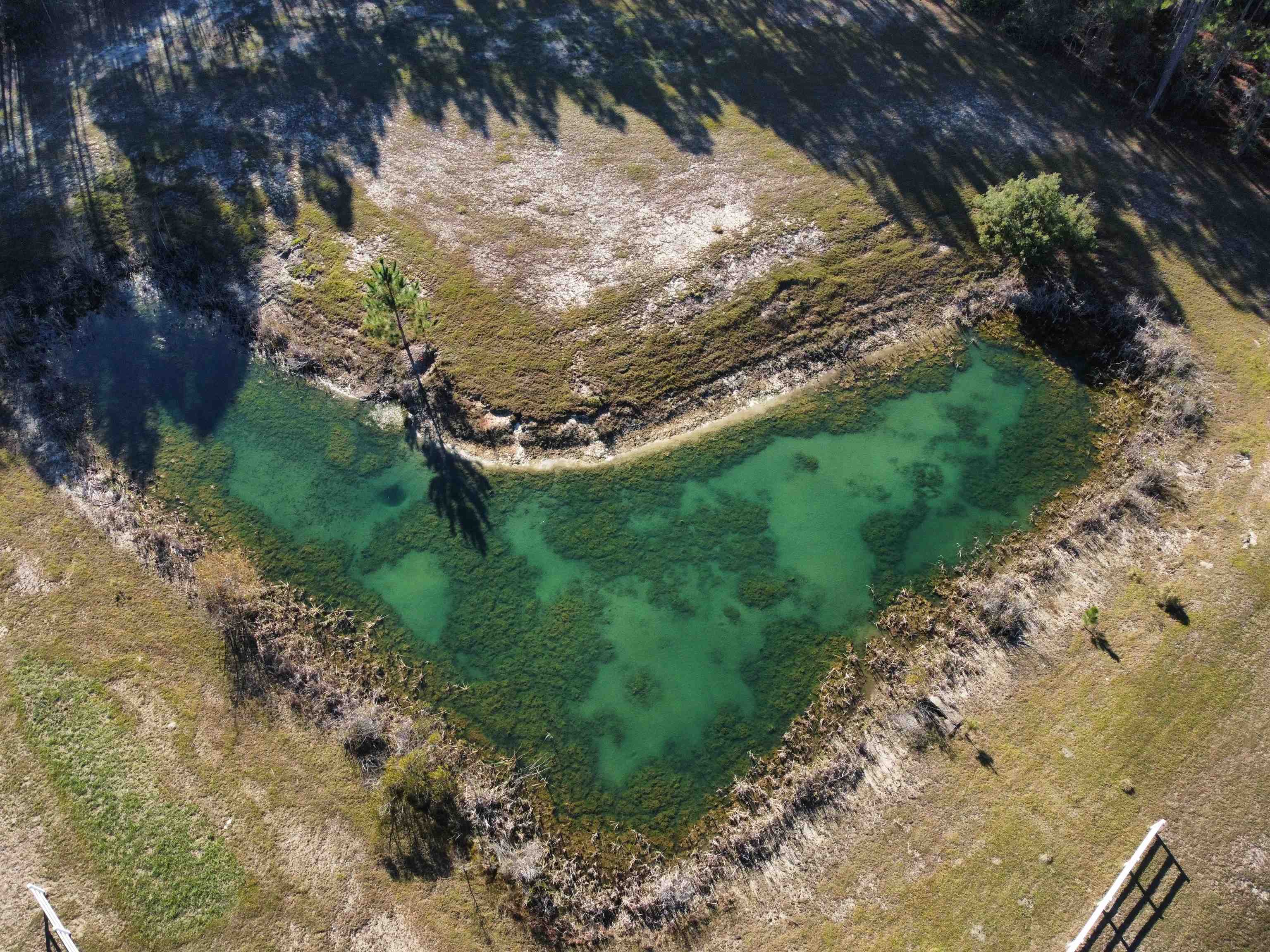 Xx Ranch Club Road Tallahassee, FL 32305 - Photo 14 of 22