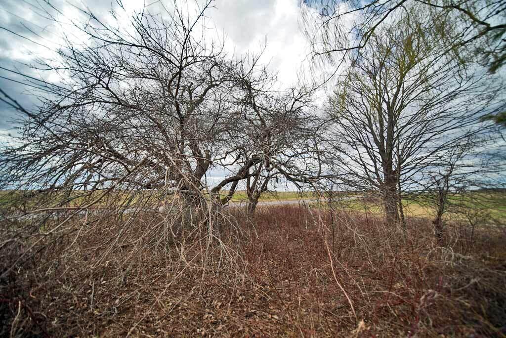 293 Hughes Road Mapleton, ME 04757 - Photo 12 of 56 293-hughes-mapleton-apple-o