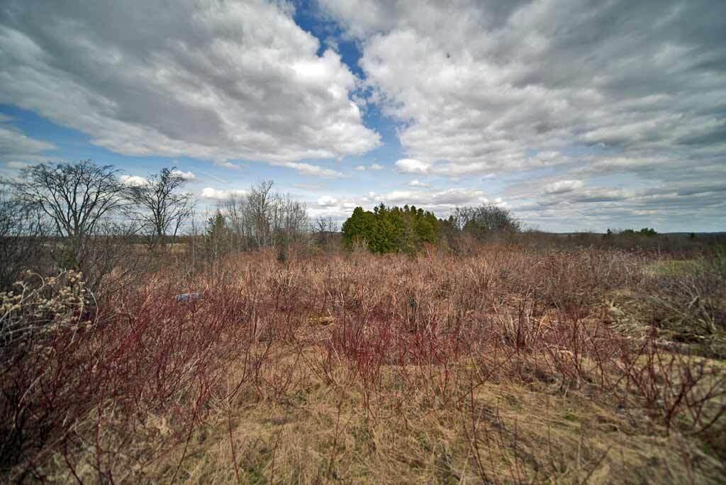 293 Hughes Road Mapleton, ME 04757 - Photo 55 of 56 pasture-lane-me-farm