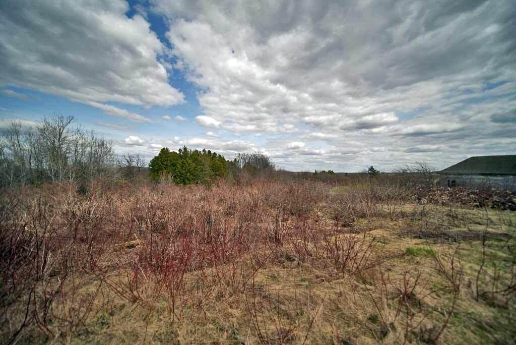 293 Hughes Road Mapleton, ME 04757 - Photo 9 of 56 293-hughes-maple-field