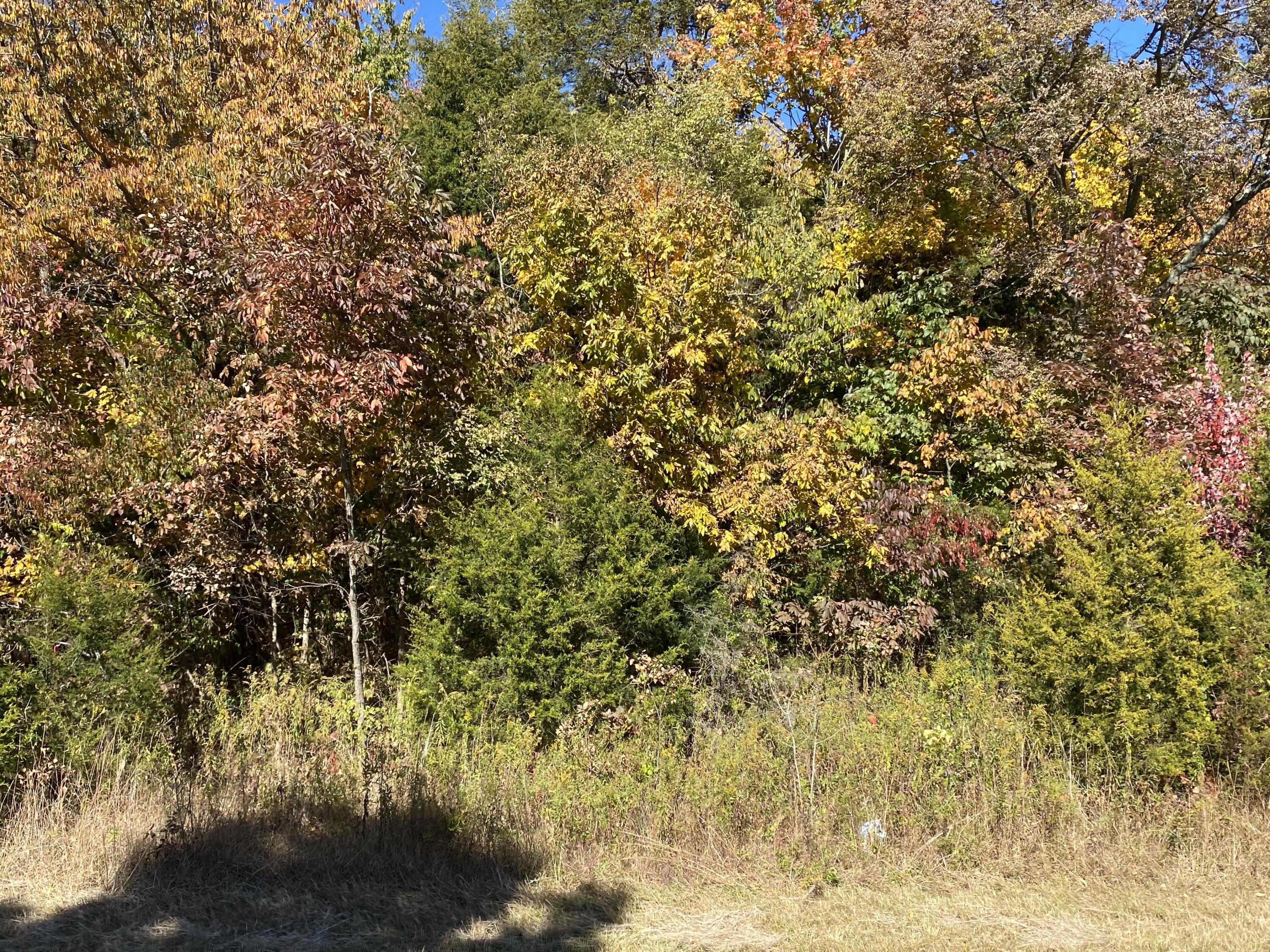 13925 Lebanon Road Danville, KY 40422 - Photo 10 of 17 9FF0B8BE-9450-41A0-B841-4B328C6CDCF0