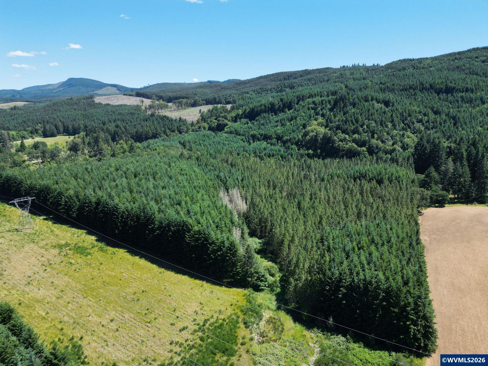 2702-2703 South Cedar Mill Road Lyons, OR 97358 - Photo 10 of 17