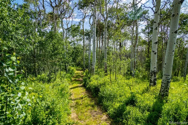 $8,450,000 | 6903 Bellyache Ridge Road, Wolcott, CO 81655