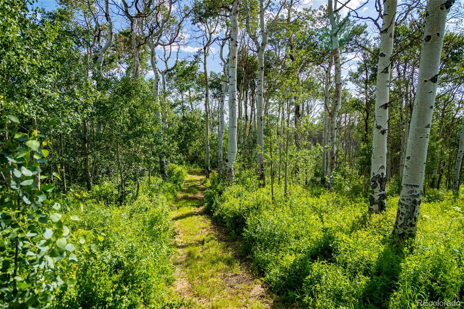 6903 Bellyache Ridge Road Wolcott, CO 81655 - Photo 50 of 50 a view of a garden