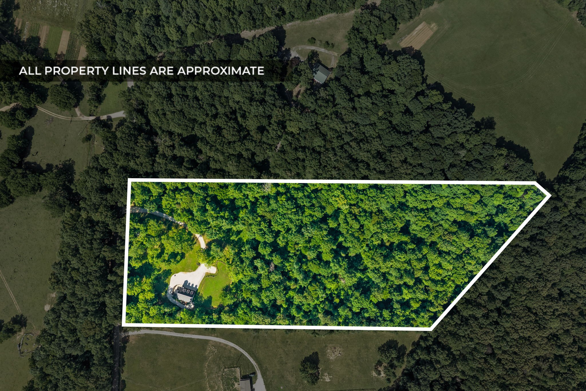 1300 Brummit Road Charlotte, TN 37036 - Photo 2 of 46