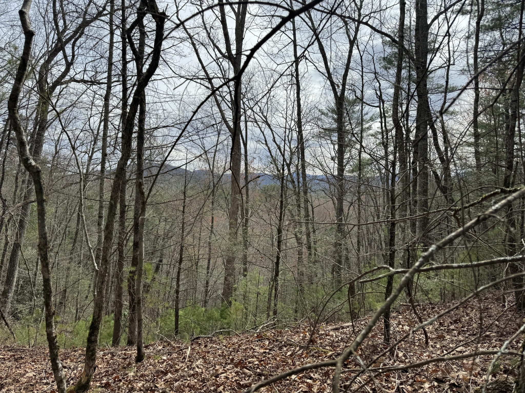 4238 Ridge Road Hartford, TN 37753 - Photo 20 of 41 Gallery Image 20