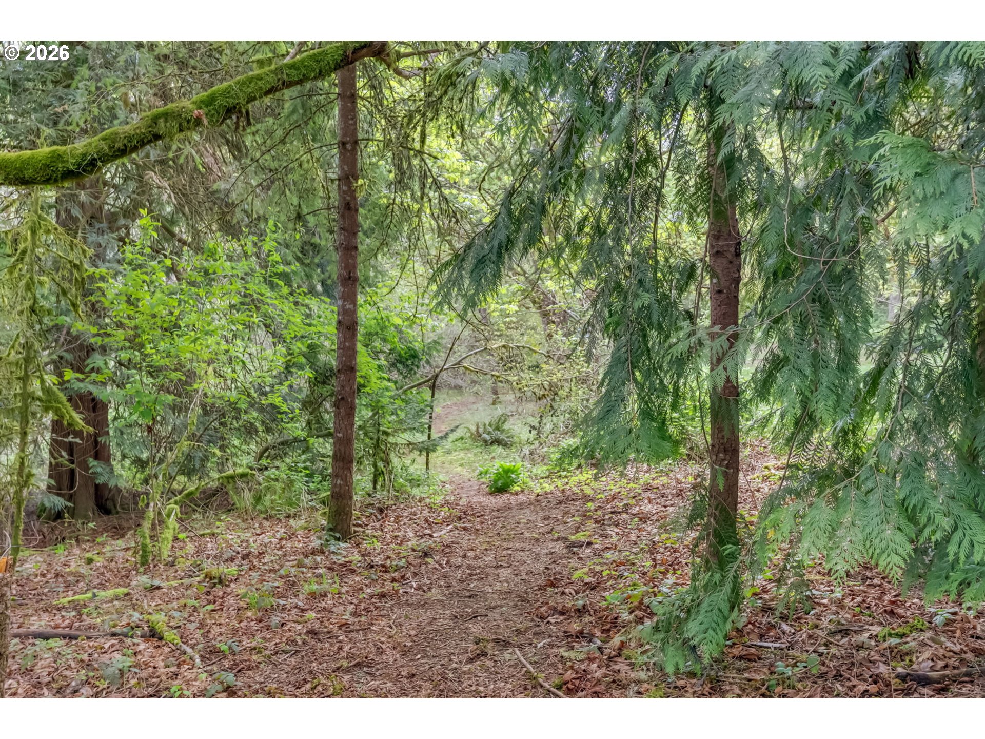 36690 Southeast Yoder Drive Estacada, OR 97023 - Photo 38 of 45