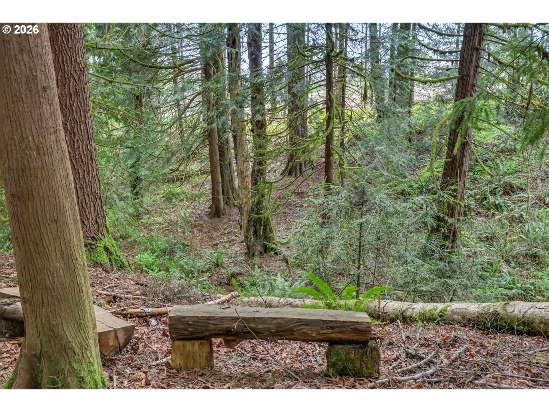 36690 Southeast Yoder Drive Estacada, OR 97023 - Photo 40 of 45