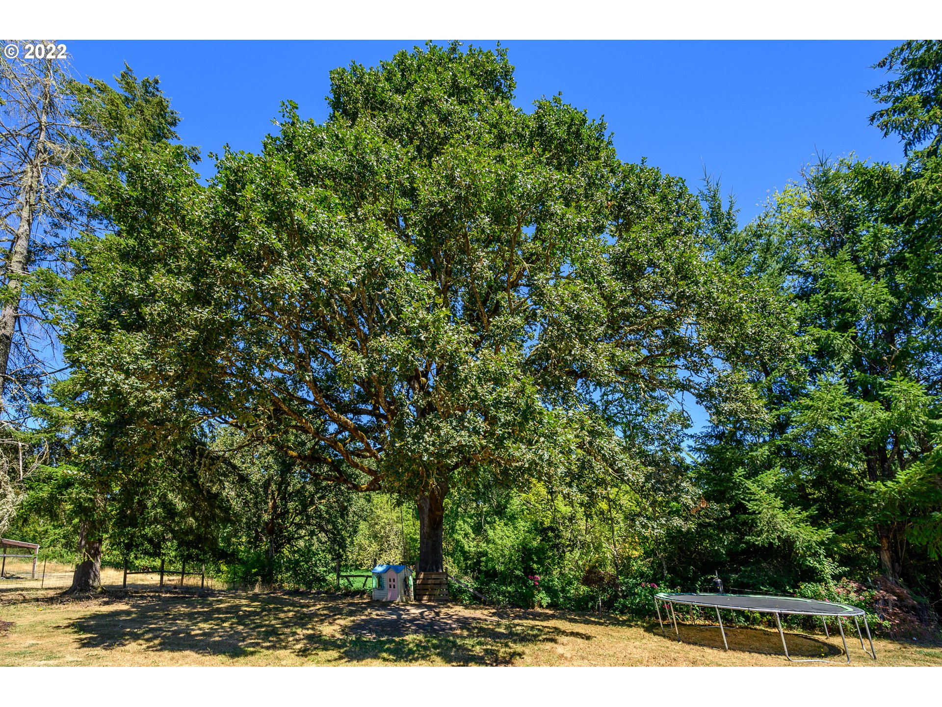 8310 Southwest Broadmead Road Amity, OR 97101 - Photo 29 of 32