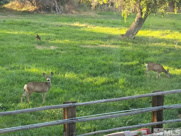 $699,999 | 1677 Rio Vista Drive, Fallon, NV 89406