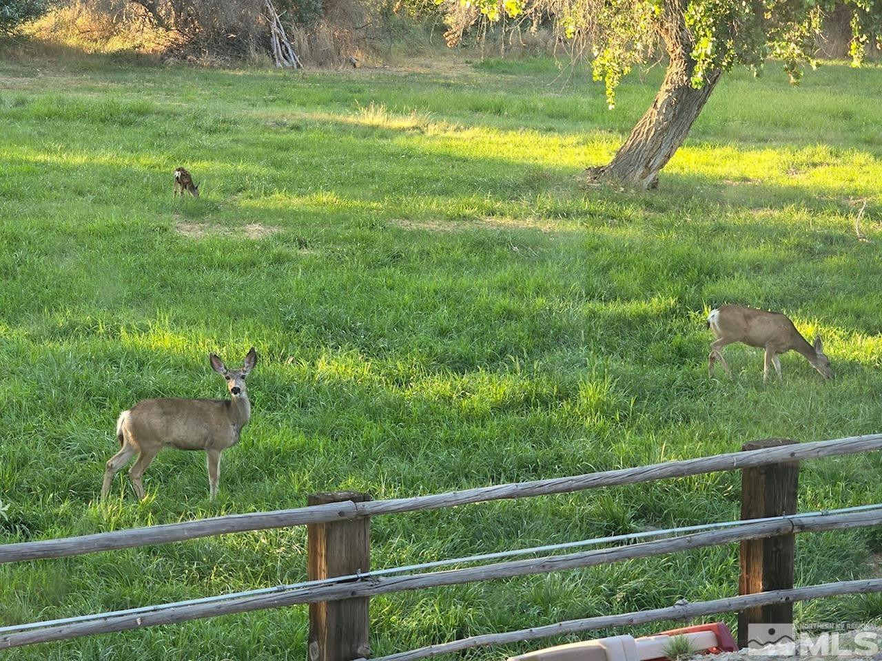 1677 Rio Vista Drive Fallon, NV 89406 - Photo 35 of 40 Photo 35