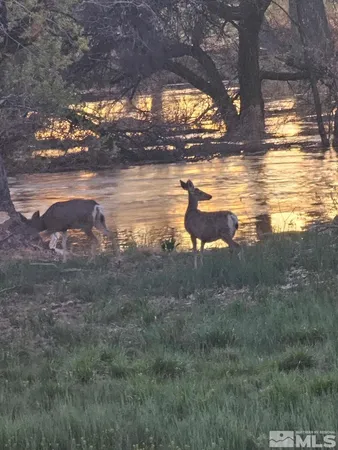 $699,999 | 1677 Rio Vista Drive, Fallon, NV 89406