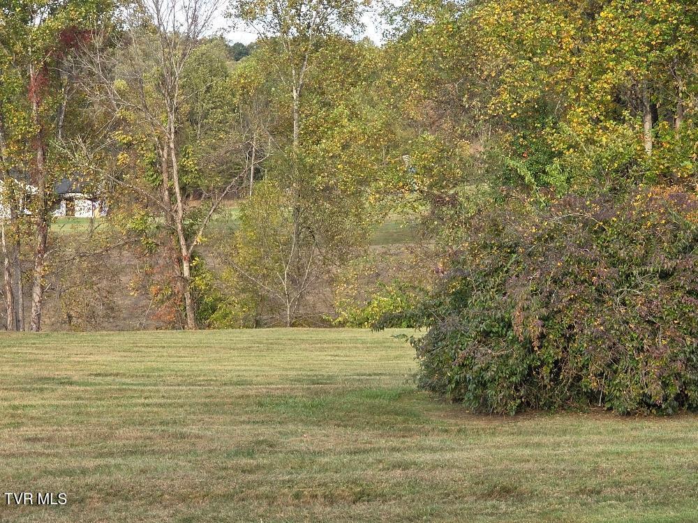 135 Unaka Subdivision Road Elizabethton, TN 37643 - Photo 21 of 21 Unaka extra Lot