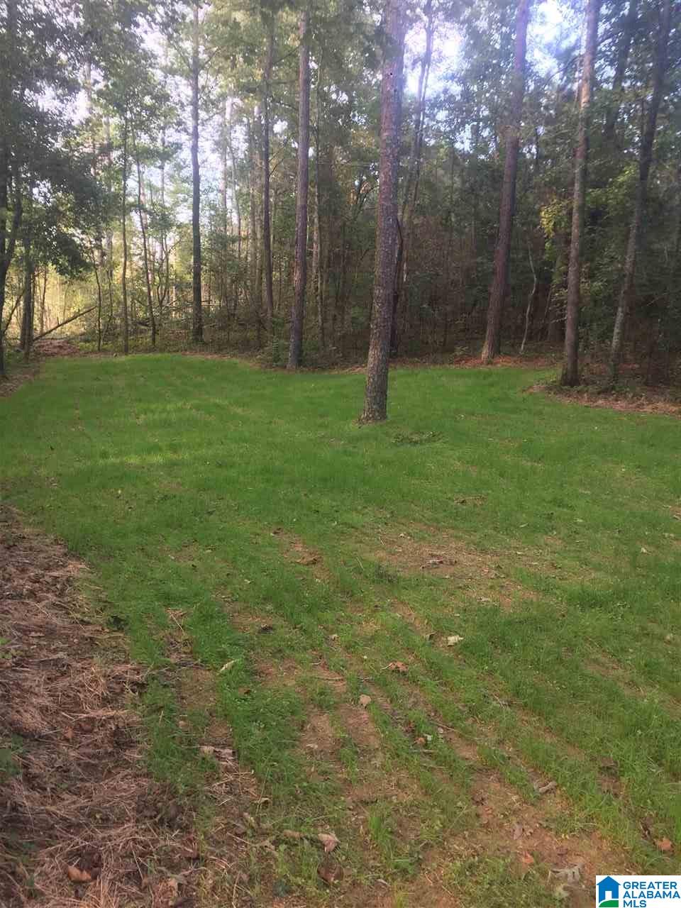 241 Sulphur Springs Road, Unit 9 89 ACRES Lincoln, AL 35096 - Photo 2 of 44