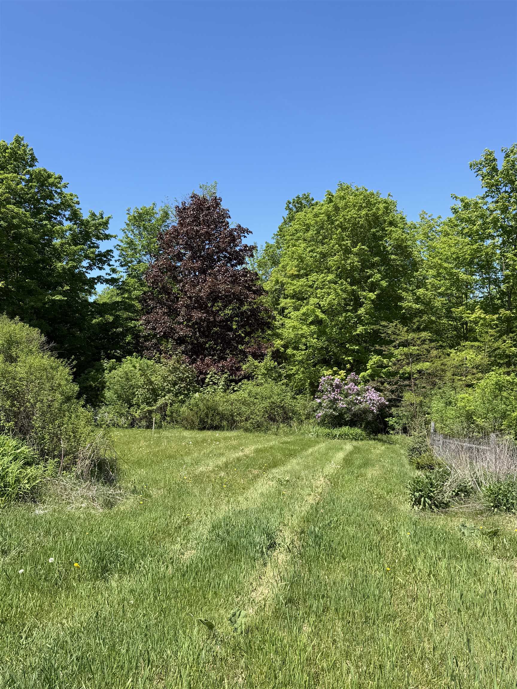 129 Daigneault Hill Road Orwell, VT 05760 - Photo 14 of 60