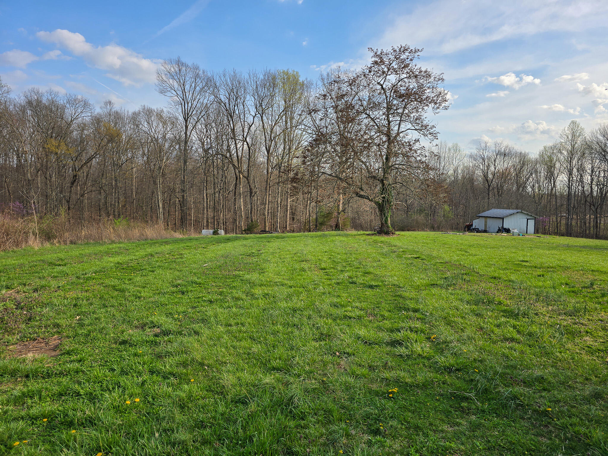 2060 Dry Ridge Road Liberty, KY 42539 - Photo 65 of 87 20250402_180913