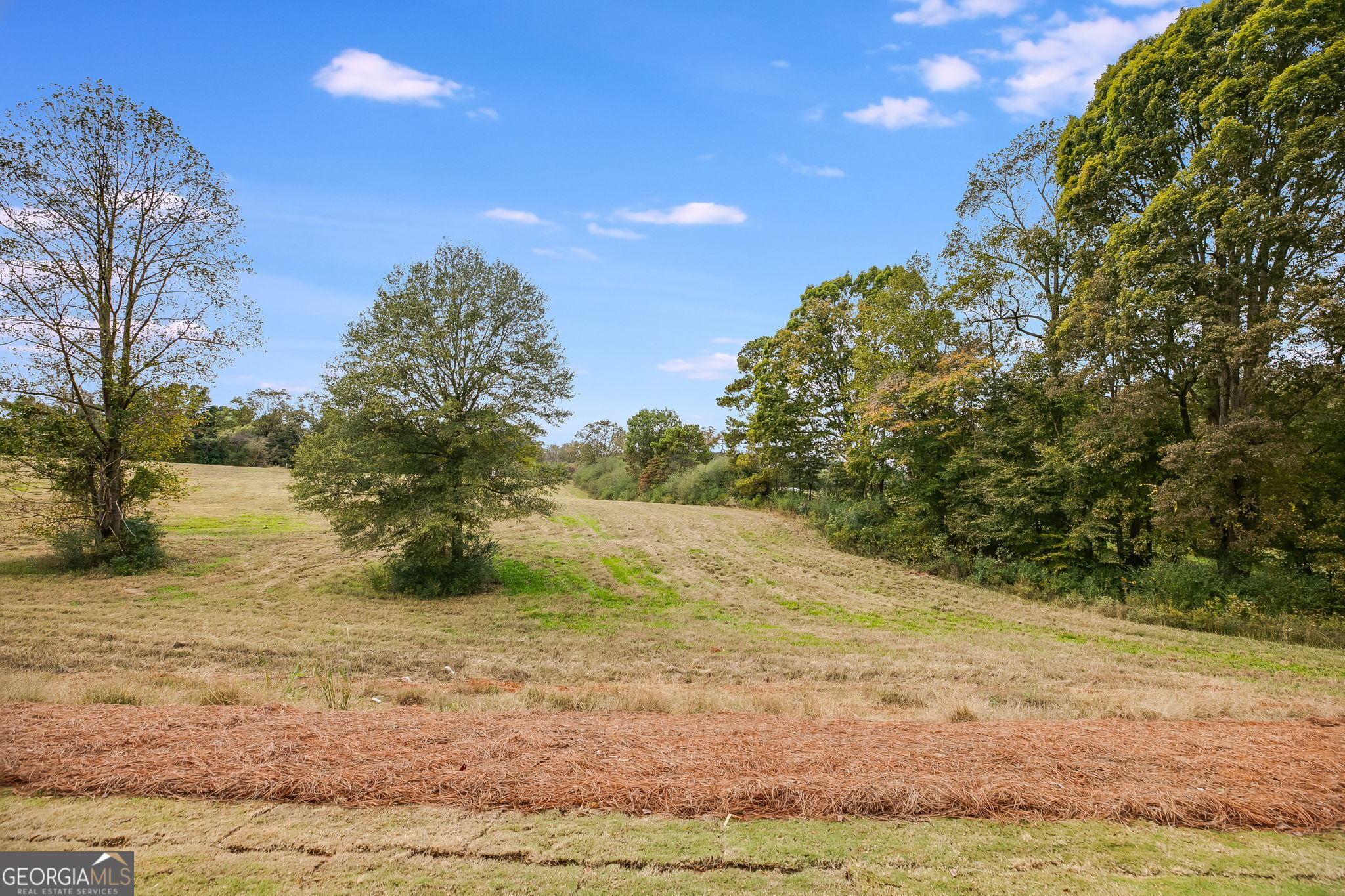 3356 Veal Road Roopville, GA 30170 - Photo 38 of 45 a view of a yard with a house