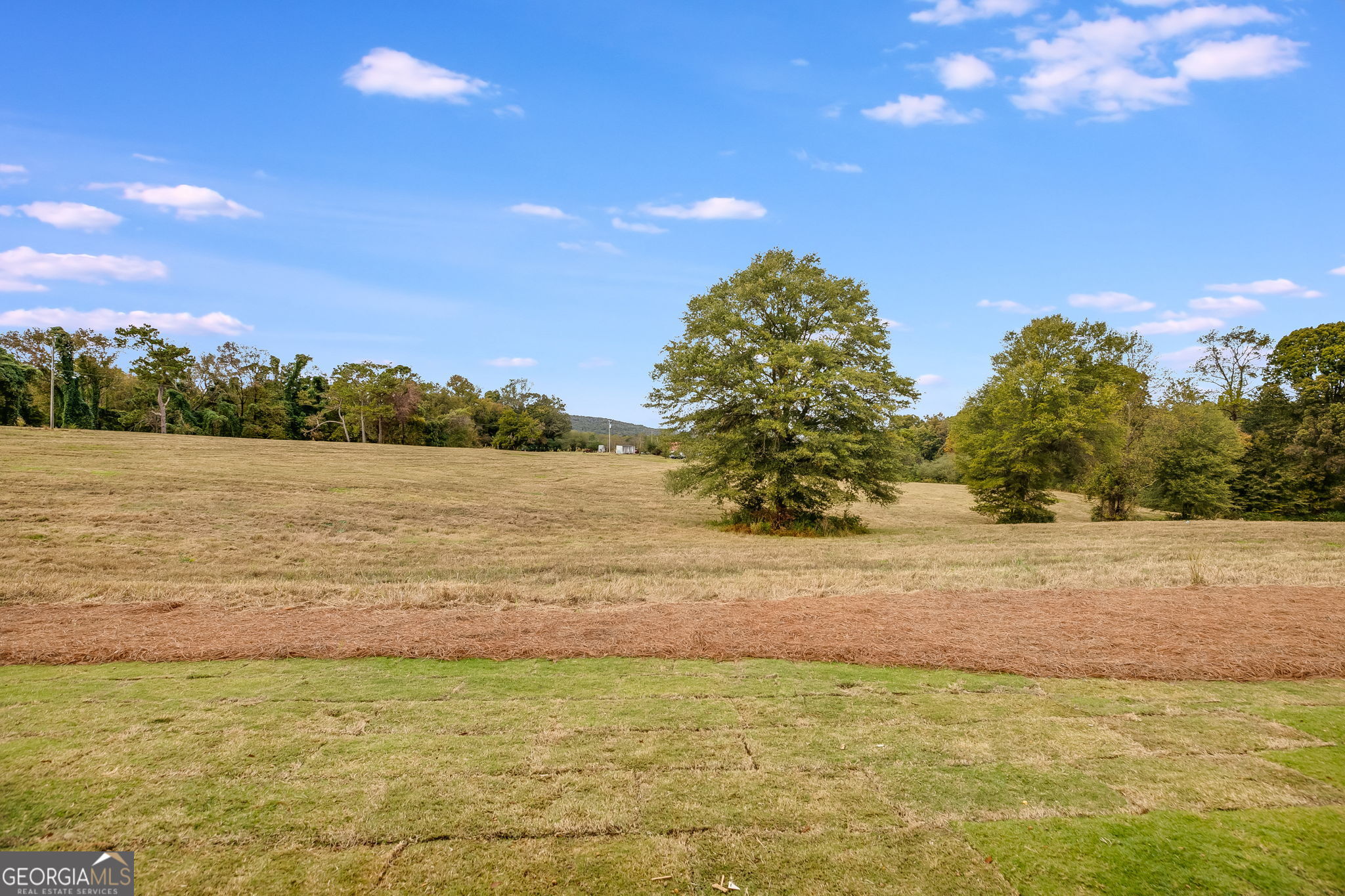 3356 Veal Road Roopville, GA 30170 - Photo 40 of 45 a view of beach and ocean