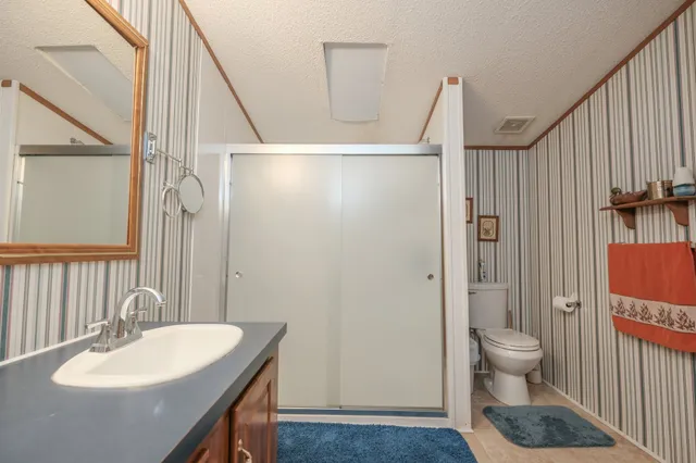 a bathroom with a sink a toilet and shower