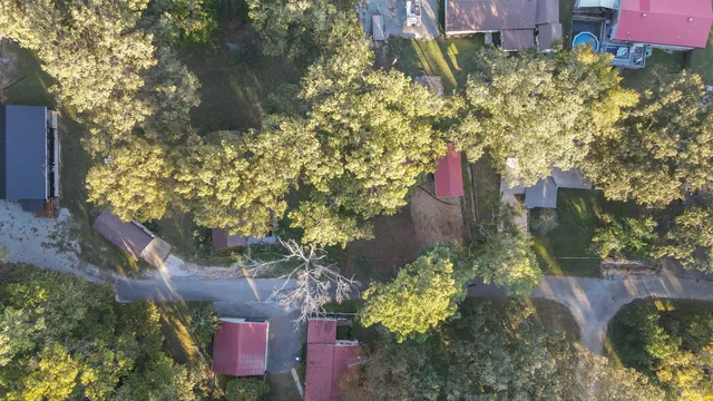 a picture of flowers