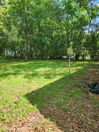 a view of a trees in a park