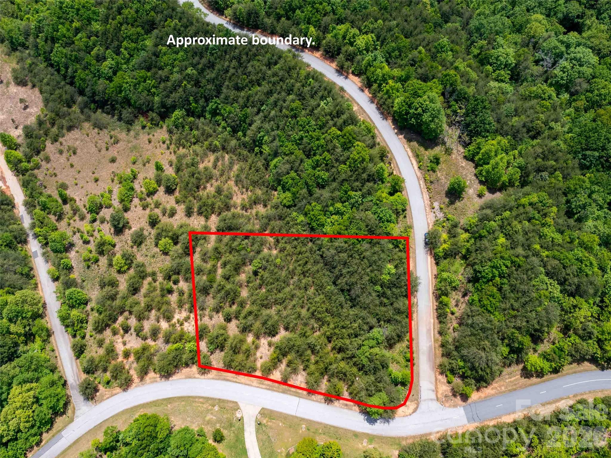 Lot 150 Birkdale Dr Mill Spring Mill Spring, NC 28756 - Photo 1 of 12