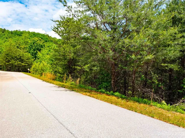 a view of a yard with plants