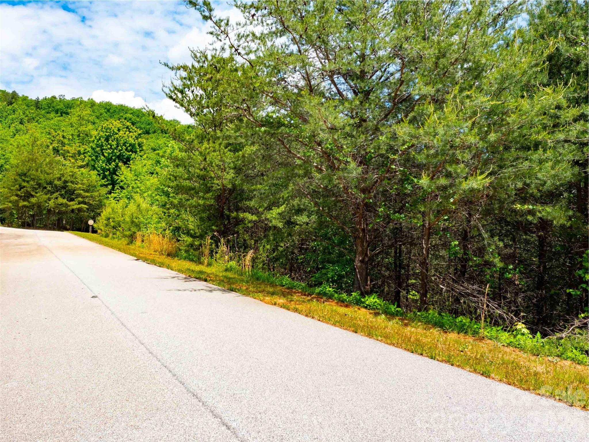 Lot 150 Birkdale Dr Mill Spring Mill Spring, NC 28756 - Photo 2 of 12