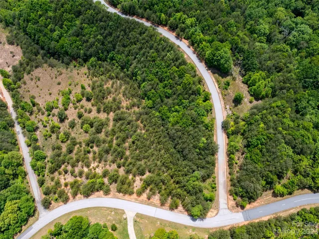 a view of a garden with a tree