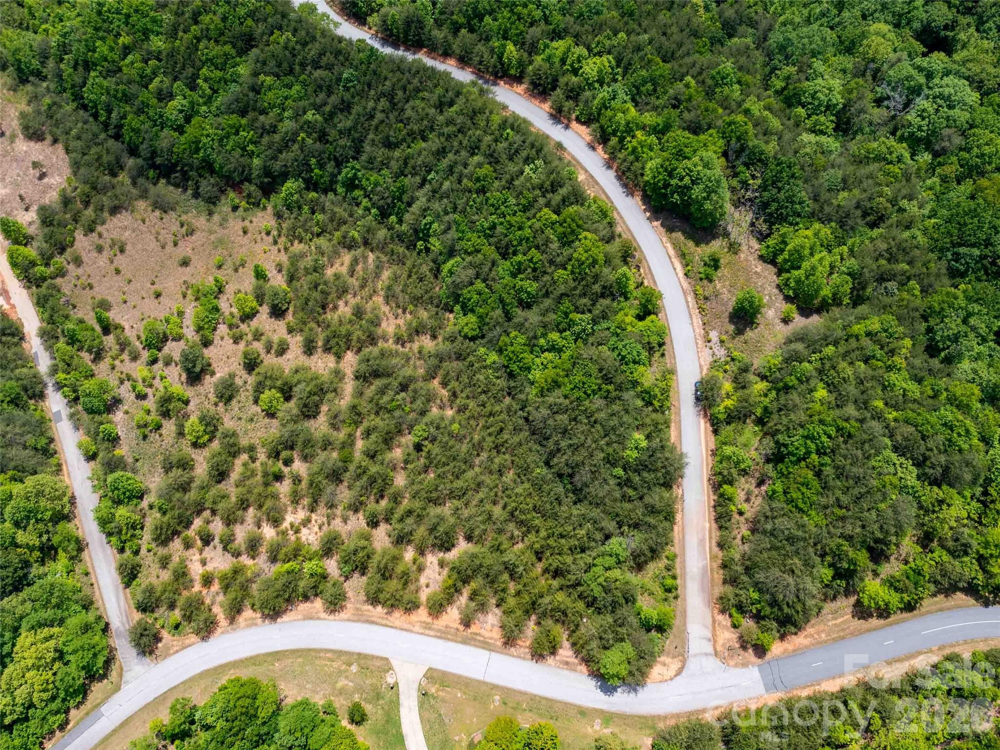 Lot 150 Birkdale Dr Mill Spring Mill Spring, NC 28756 - Photo 4 of 12