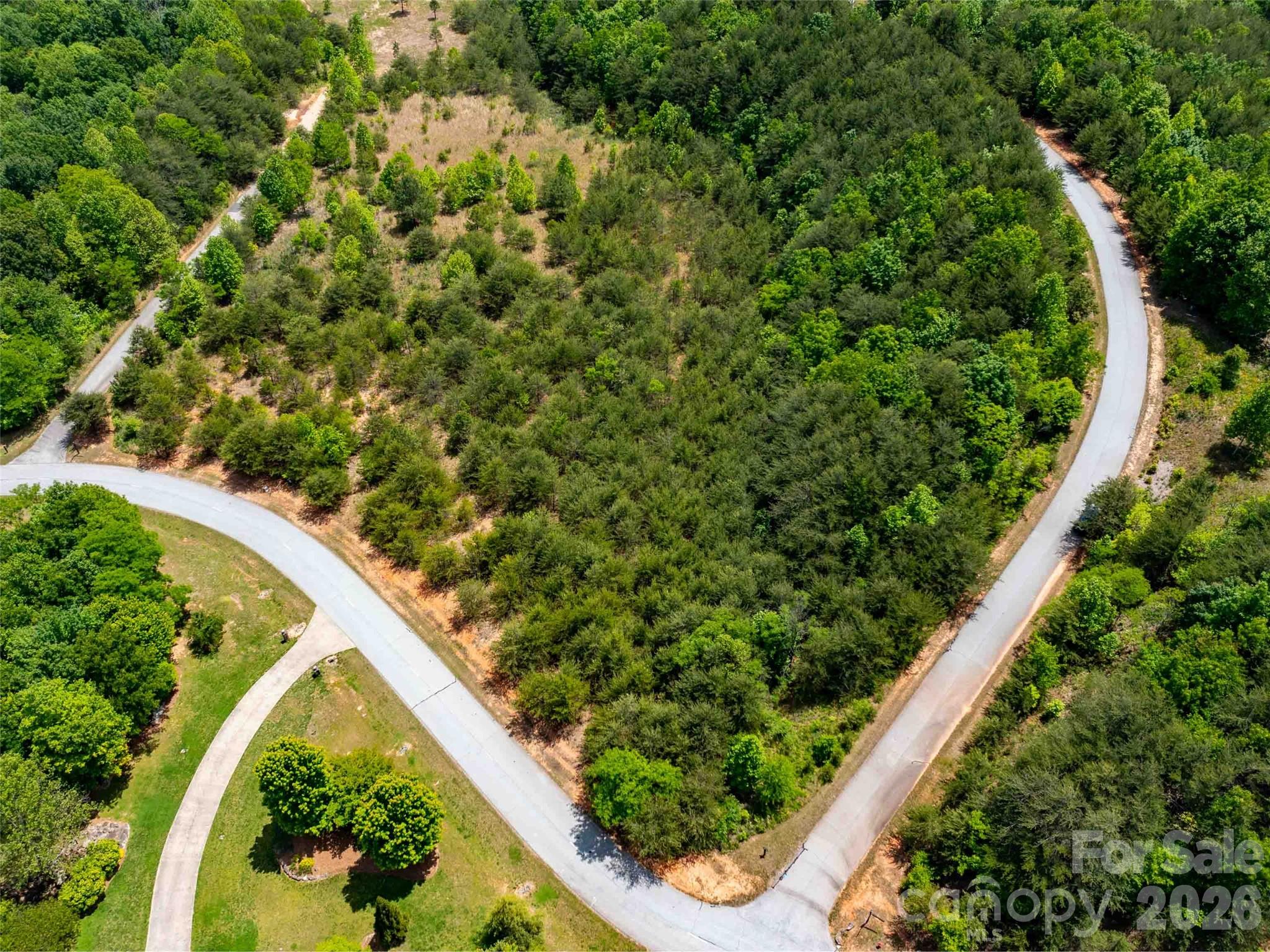 Lot 150 Birkdale Dr Mill Spring Mill Spring, NC 28756 - Photo 5 of 12
