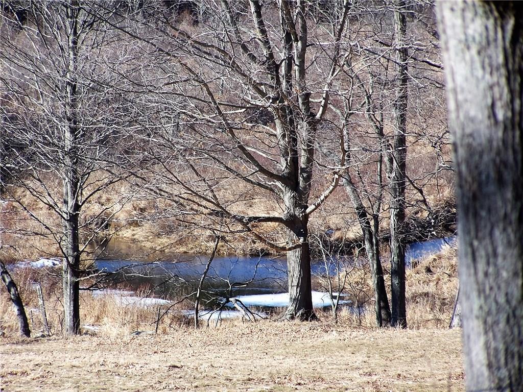 85 Moose Meadow Road Willington, CT 06279 - Photo 1 of 1 a view of a covered with snow in the backyard