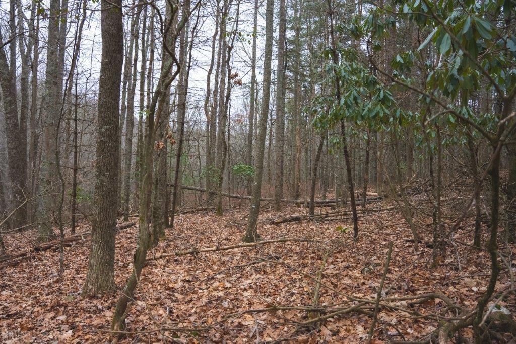 3 Long Mountain Road Southwest Willis, VA 24380 - Photo 39 of 66 Gallery Image 39