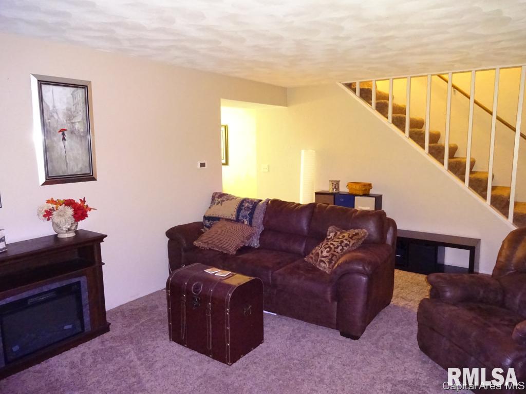 14 Brookside Place Springfield, IL 62704 - Photo 4 of 18 Gallery Image 4