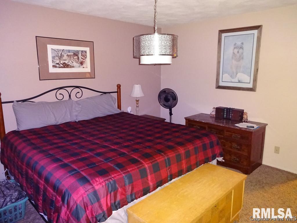 14 Brookside Place Springfield, IL 62704 - Photo 10 of 18 Gallery Image 10