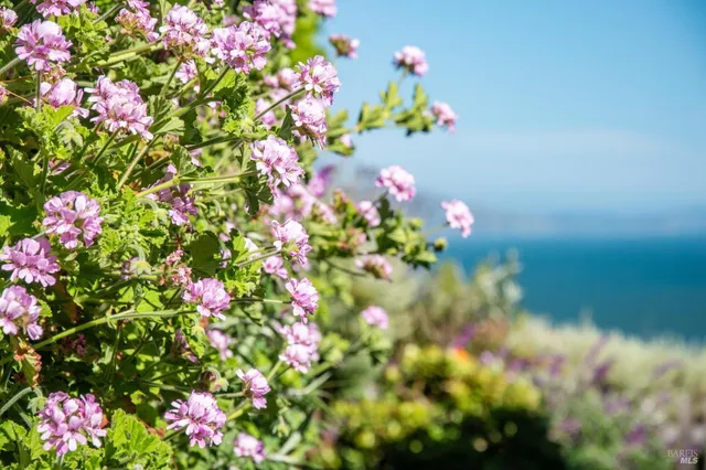 $1,450,000 | 71 Cresente Avenue, Bolinas, CA 94924