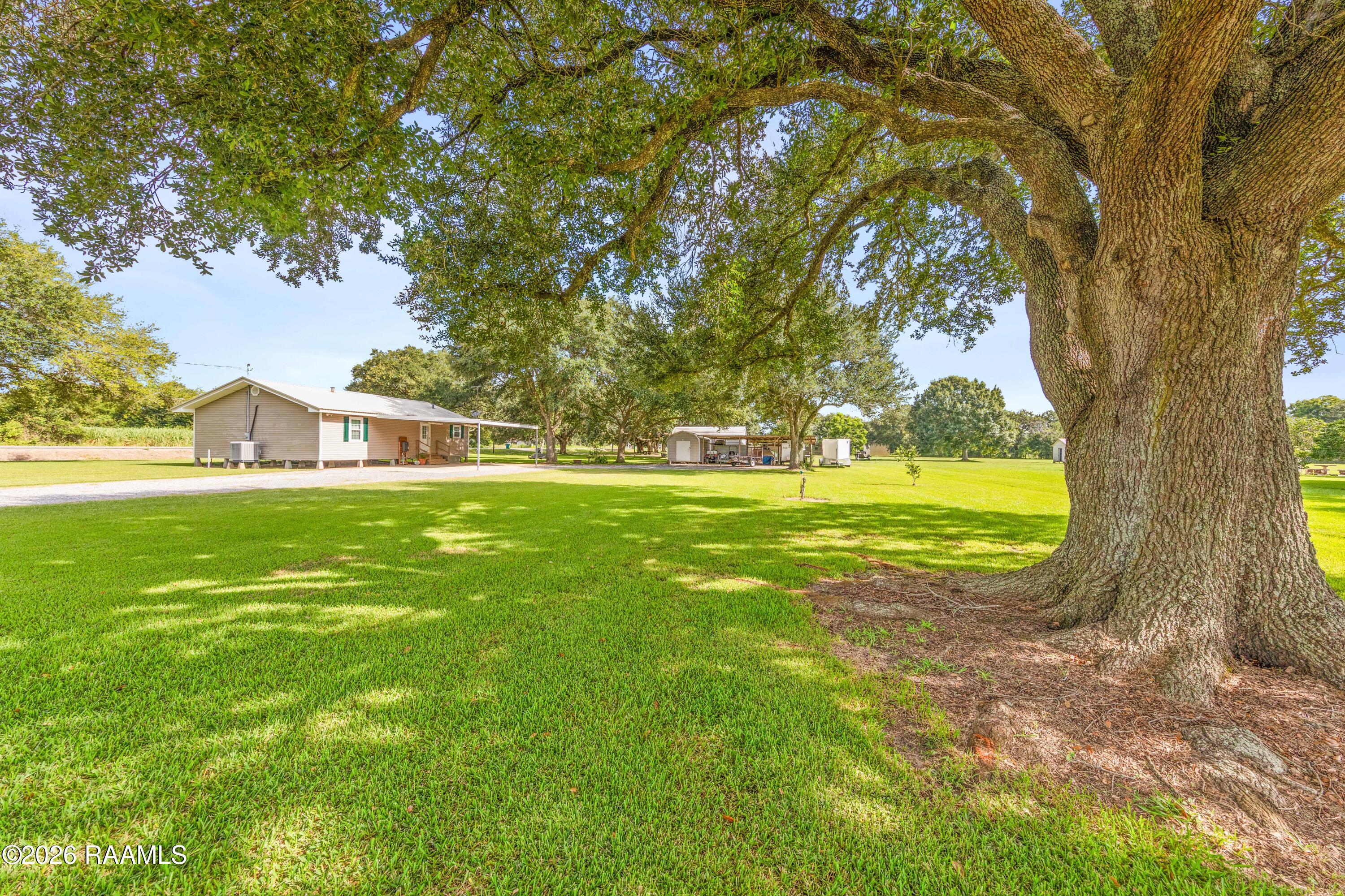 3936 Olias Road Erath, LA 70533 - Photo 28 of 40 3936Olias-14