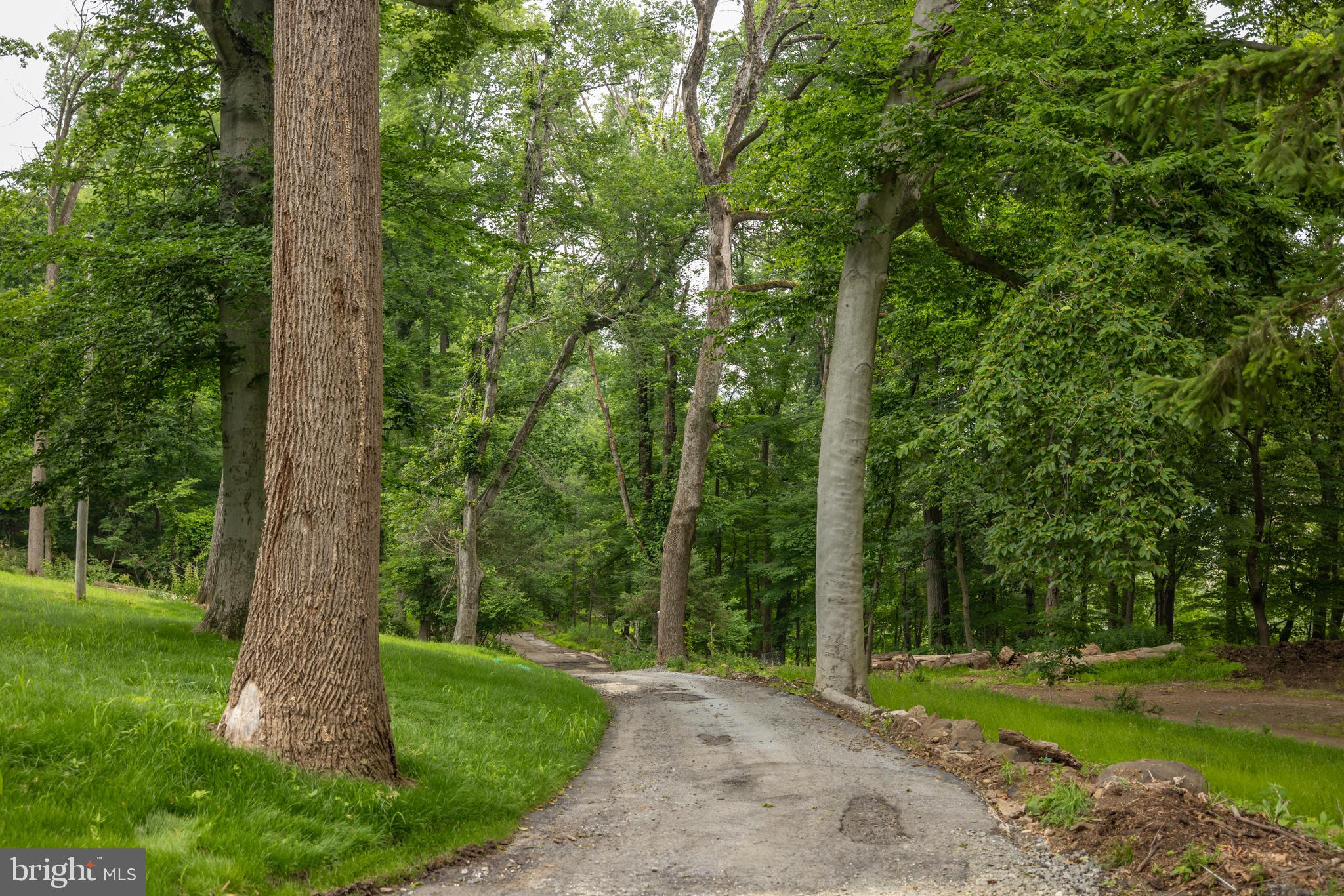 160 Stoney Bank Road Glen Mills, PA 19342 - Photo 42 of 46 a view of a park